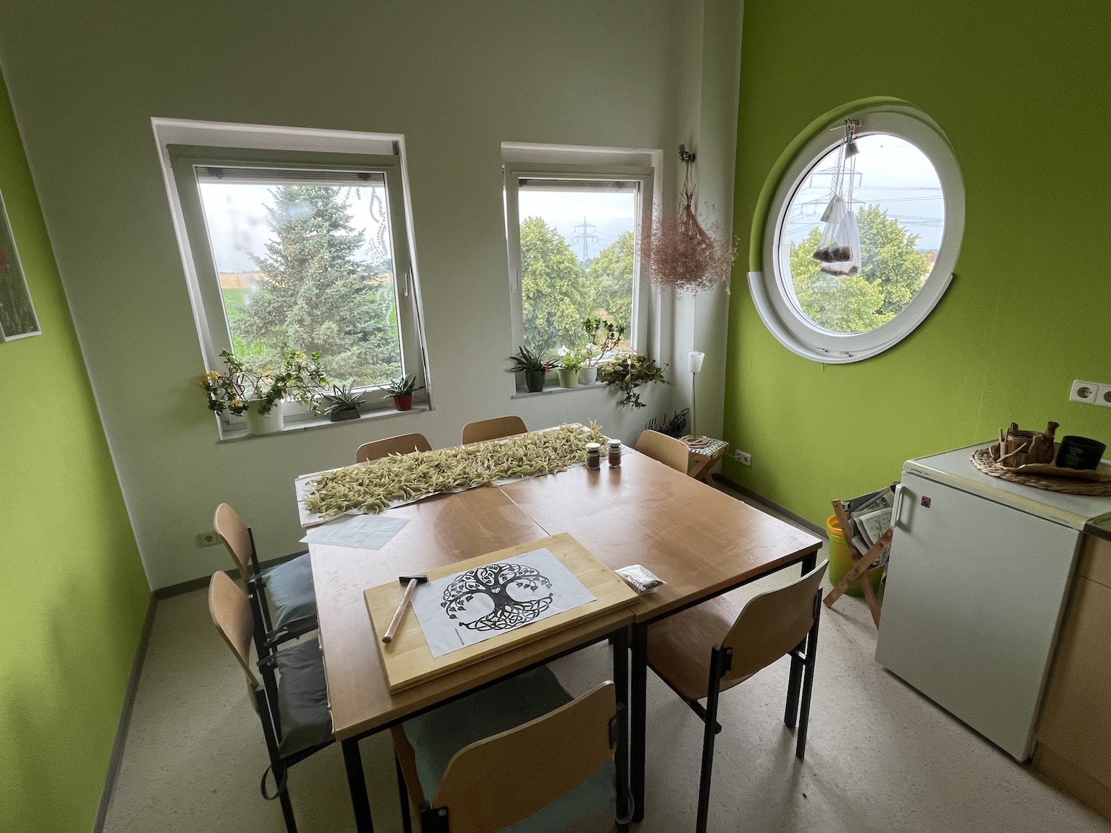 Auf einem kleinem Tisch wird was mit Holzgebaut mit einem Hammer und auf den weißen Fensternbänken stehen viele Pflanzen.