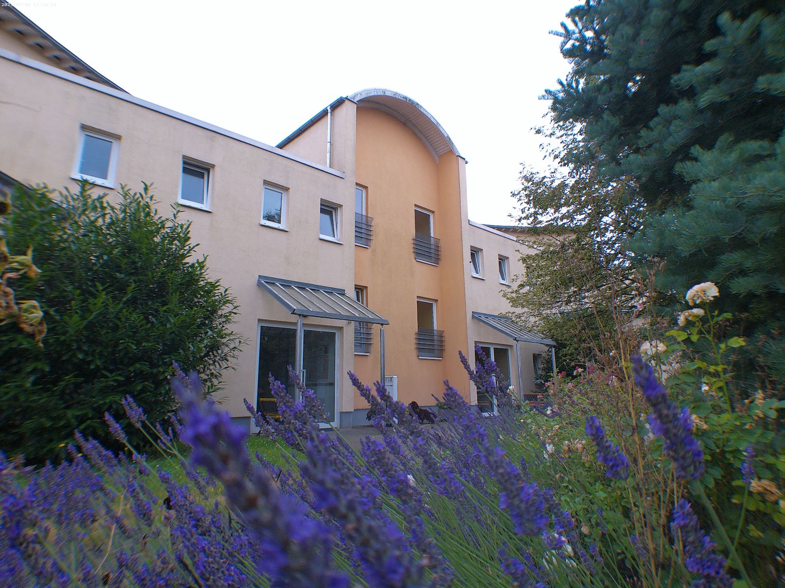 Gelbe Wohngebäude wird von vorne gezeigt und einige Bäume stehen daneben. Es gibt ein kleines Feld wo Lavendel wachsen
